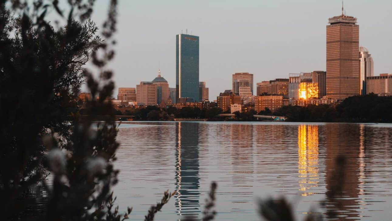 Boston Charles River Bushes Skyline Sunset.